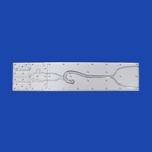 Intrakranieller anatomisches Modell - Trando 3D Medical Technology