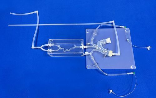 Blutgefäße-Gefäßmodell - Trando 3D Medical Technology