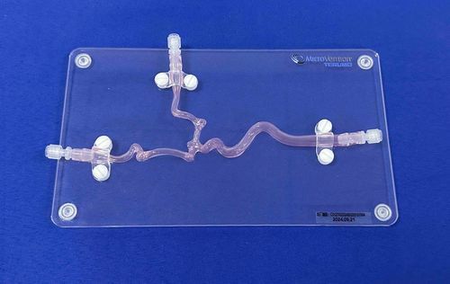 Anatomisches Modell / Arteria carotis - SJX006D - Trando 3D Medical Technology - Blutgefäße / für Neurochirurgie / Ausbildung