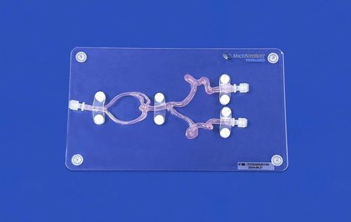 Gehirn-Gefäßmodell - SJX005D - Trando 3D Medical Technology - Intrakranieller / Blutgefäße / für Neurochirurgie