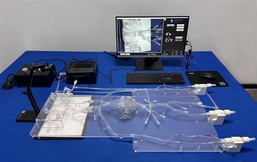 Simulator für Punktionen - SJZ002D - Trando 3D Medical Technology - für Angiographie / Ausbildung / für Allgemeinpflege