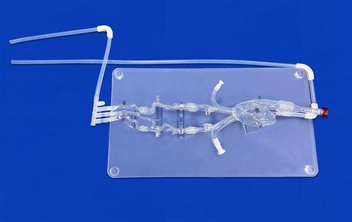 Intrakranieller Gefäßmodell - SJX006-1 - Trando 3D Medical Technology - Arterie / Arteria carotis communis / Arteria vertebralis