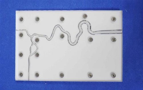 Gefäßmodell / Arteria carotis interna - SJX004 - Trando 3D Medical Technology - vordere Hirnarterie / mittlere Hirnarterie / Silikon