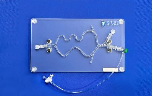 Nervensystem-Gefäßmodell - SJV015 - Trando 3D Medical Technology - Gehirn / Gehirn / Intrakranieller