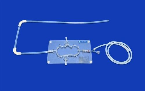 Nervensystem-Gefäßmodell - SJV008 - Trando 3D Medical Technology - Gehirn / Gehirn / Intrakranieller