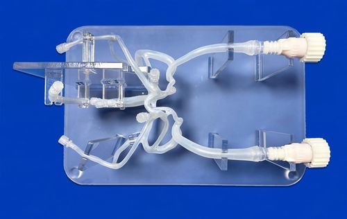 Nervensystem-Gefäßmodell - SJV007 - Trando 3D Medical Technology - Gehirn / Gehirn / Intrakranieller