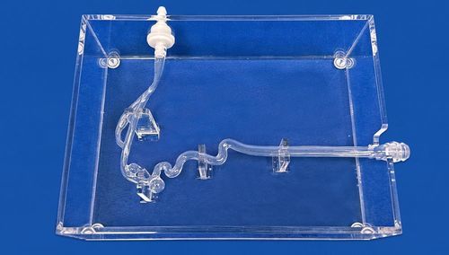 Gefäßmodell / Arteria carotis - SJV004 - Trando 3D Medical Technology - Arteria carotis interna / vordere Hirnarterie / mittlere Hirnarterie