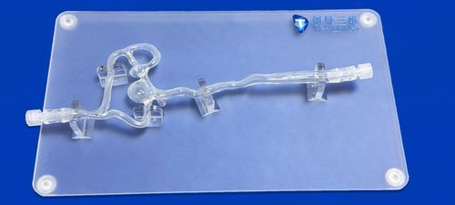 Gefäßmodell / vordere Hirnarterie - SJV002 - Trando 3D Medical Technology - mittlere Hirnarterie / rechte Arteria carotis interna / linke Arteria carotis interna