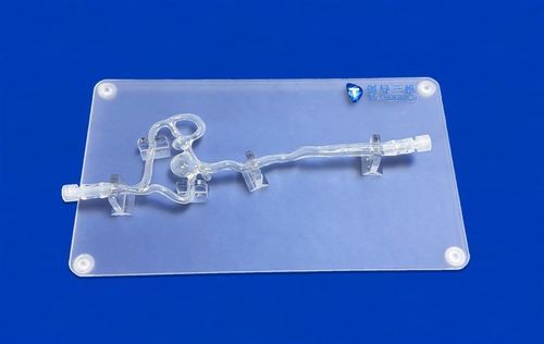 Gefäßmodell / vordere Hirnarterie - SJV002 - Trando 3D Medical Technology - mittlere Hirnarterie / rechte Arteria carotis interna / linke Arteria carotis interna