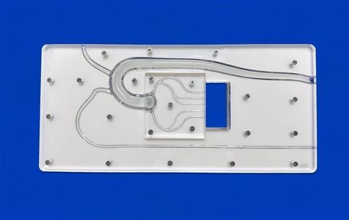 Koronararterien-Gefäßmodell - PCI Ⅱ - Trando 3D Medical Technology - für Radialarterie / Brustschlagader / für perkutane Koronarinterventon