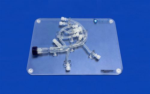 Anatomisches Herzmodell - XXS018 - Trando 3D Medical Technology - Vene / Herzvene / Silikon