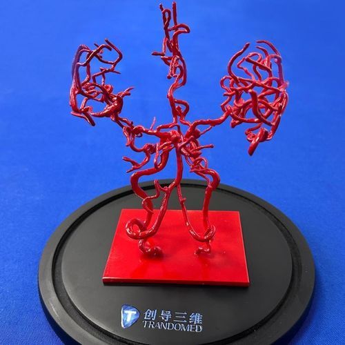 Gehirn-Gefäßmodell - YZ002 - Trando 3D Medical Technology - Ausbildung / transparent / flexibel