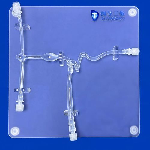 Gefäßmodell / Arteria carotis - SJX007 - Trando 3D Medical Technology - Blutgefäße / für Neurochirurgie / Ausbildung