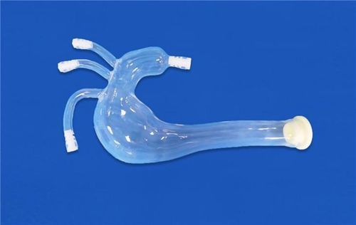 Gefäßmodell / linke Arteria carotis communis - XXS009 - Trando 3D Medical Technology - linke Unterschlüsselbeinarterie / Truncus brachiocephalicus / Brustschlagader