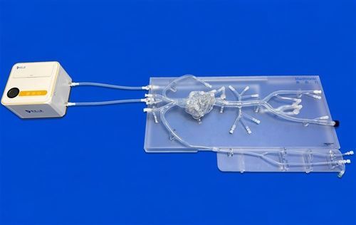 Herzgefäßmodell - XXD001 - Trando 3D Medical Technology - Arteria femoralis / Koronararterien / für Radialarterie