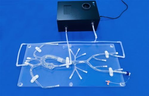 Unterschlüsselbeinarterie-Gefäßmodell - Trando 3D Medical Technology - Arteria femoralis / Brustschlagader / Arteria iliaca