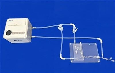 Gefäßmodell mit intrakranieller Arterie - Small Neuro Vessel - Trando 3D Medical Technology - mittlere Hirnarterie / Gehirn / Hirnarterien