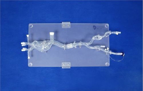 Gefäßmodell / Arteria femoralis - XXD019 - Trando 3D Medical Technology - Brustschlagader / Arteria iliaca / Aorta abdominalis