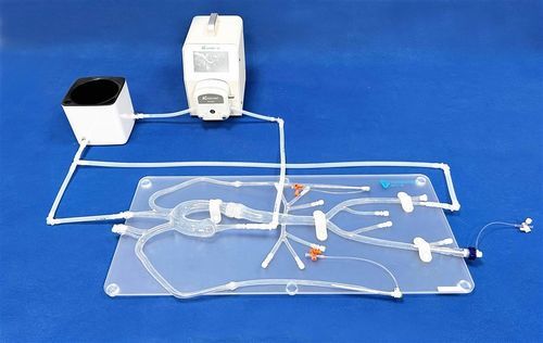 Gefäßmodell / Arteria femoralis - XXD011 - Trando 3D Medical Technology - Brustschlagader / Arteria iliaca / Aorta abdominalis