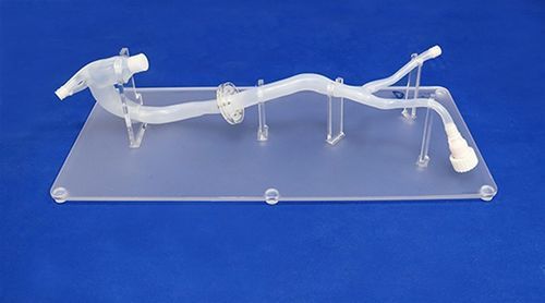 Brustschlagader-Gefäßmodell - XXD026 - Trando 3D Medical Technology - Arteria iliaca / Aorta abdominalis / Arteria femoralis