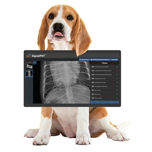 Veterinär-Röntgensystem - SignalRAY+ - SignalPET - digital / mobil