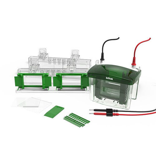 Elektrophoresekammer für wissenschaftliche Forschung - GEP-VH-4 - Infitek - vertikal / 4 Kanäle