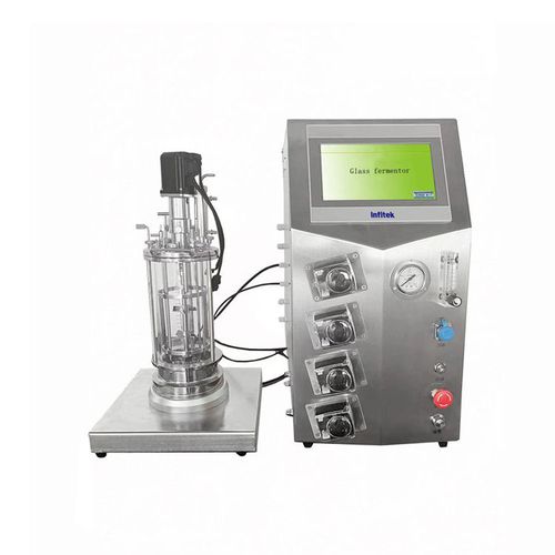 Bioreaktor für mikrobielle Fermentation - GF-J series - Infitek - Sieb