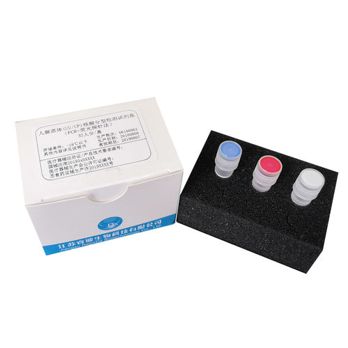 Testkit für Infektionskrankheiten - JiangsuRepoDx Biotechnology Co., Ltd - Ureaplasma urealyticum / Ureaplasma parvum / Echtzeit