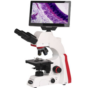 Digitales Mikroskop - BMC100  - Phenix Optics Co., Ltd. - optisch / Labor / für Forschungszwecke