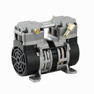 Labor-Vakuumpumpe - ZW100 （A）series - Foshan Guangshun Electric Appliance Co., Ltd.