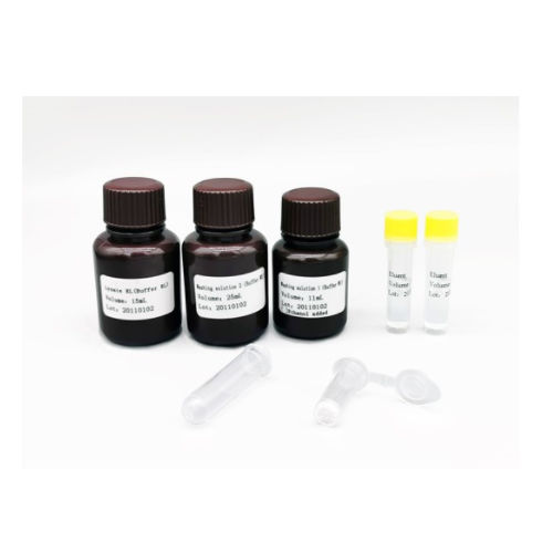 Pufferlösungs-Reagenzkit - MABSKY BIO-TECH CO.，LTD - für Kliniken / für PCR / Nukleinsäure
