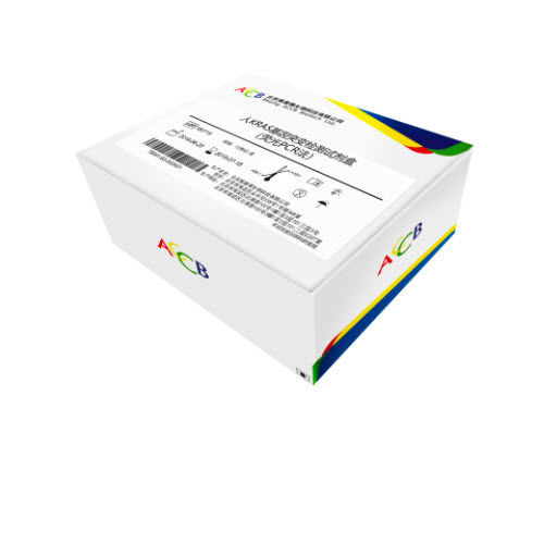 Testkit für Krebserkrankungen - Beijing ACCB Biotech Ltd. - Onkologie / KRAS-Mutationen / für Zellen