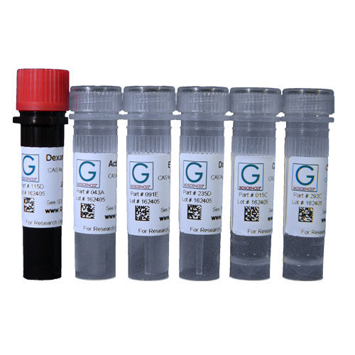 Reagenzkit / als Lösung - API-16S - G-BIOSCIENCES - Enzyme / Apoptose / Protein