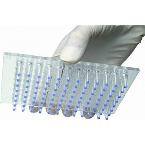 Pufferlösung - Enhancer™ - G-BIOSCIENCES - Antikörper / für Forschungszwecke / Protein