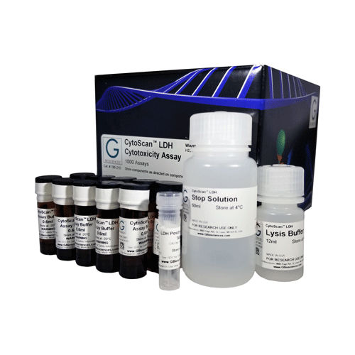 Testkit / Lebensfähigkeit der Zellen - CytoScan™ - G-BIOSCIENCES - Zytotoxizität / L-Lactatdehydrogenase (LDH) / für Zellen