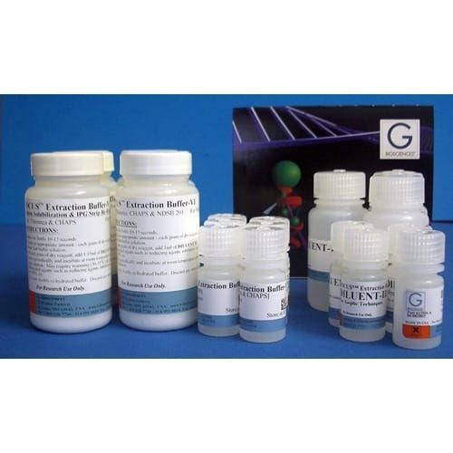 Pufferlösung - FOCUS™ - G-BIOSCIENCES - für Elektrophorese / Protein / Harnstoff