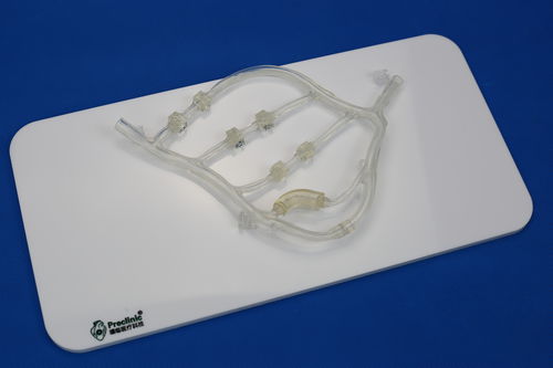 Blutgefäße-Gefäßmodell - PLXG1014 - Shanghai Preclinic Medtech - für die Herzchirurgie