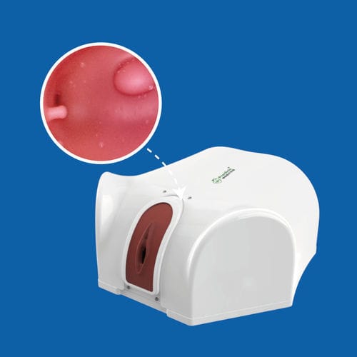 Simulator für Vorführzwecke - PLGQ1001 - Shanghai Preclinic Medtech - für Hysteroskopie / für Hysteroskopie / Ausbildung