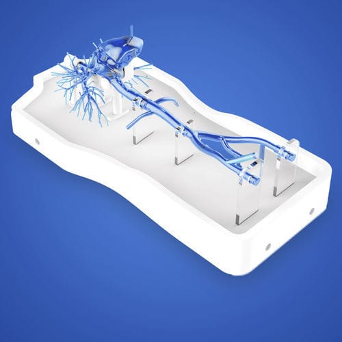 Intrakranieller anatomisches Modell - PLXG1017 - Shanghai Preclinic Medtech - Arterie / Lungenarterie / Vena-Cava