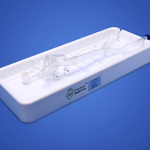 Anatomisches Herzmodell - PLXG1012 - Shanghai Preclinic Medtech - Vena-Cava / Beckenvene / Ohr