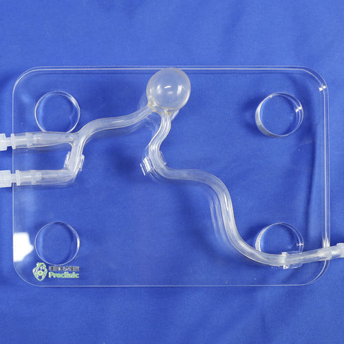 Gefäßmodell / Arteria carotis - PLXG2003 - Shanghai Preclinic Medtech - für minimalinvasive Chirurgie / für Neurologie / Ausbildung