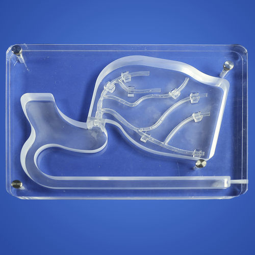 Koronararterien-Gefäßmodell - PLXG2001 - Shanghai Preclinic Medtech - für minimalinvasive Chirurgie / für die Herzchirurgie / für Gefäßchirurgie