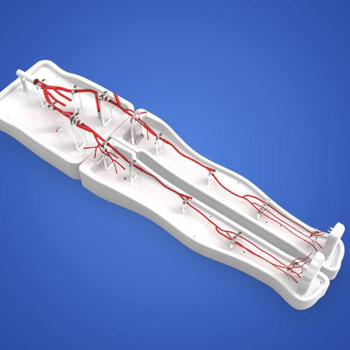 Gefäßmodell / untere Extremitäten - PLWZXG003 - Shanghai Preclinic Medtech - Arterie / Arteria femoralis / für Gefäßchirurgie