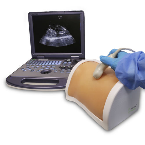 Simulator / perkutane Nephrolithotomie - PLMNCS001 - Shanghai Preclinic Medtech - Ausbildung / Arbeitsstation / echogestützt