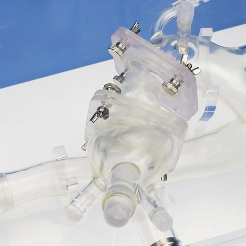 TAVI-Gefäßmodell - PLXZXG005 - Shanghai Preclinic Medtech - Arterie / Aortenklappen / Arteria femoralis