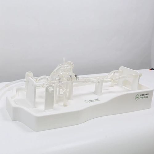 Nebenhöhle-Gefäßmodell - PLXZXG001 - Shanghai Preclinic Medtech - Herz / Herz / Vene