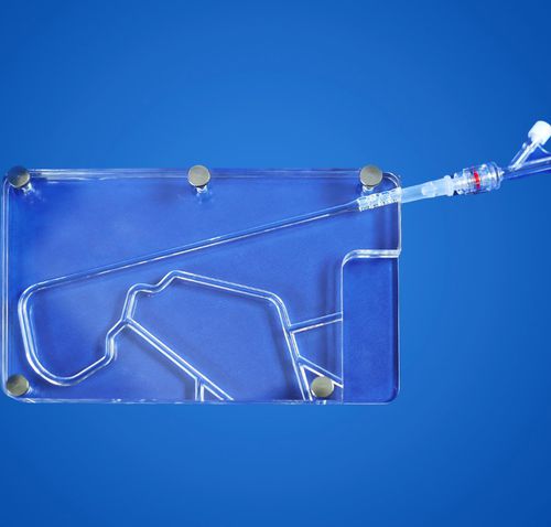 Anatomisches Modell / Blutgefäße - F2394-X2.4 - Shanghai Preclinic Medtech - chirurgisch / Ausbildung / transparent