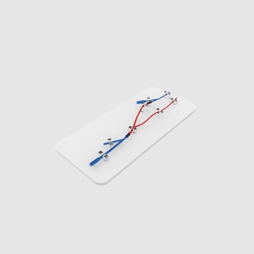 Gefäßmodell für Radialarterie - PLWZXG001 - Shanghai Preclinic Medtech - für minimalinvasive Chirurgie / für Gefäßzugang / Ausbildung