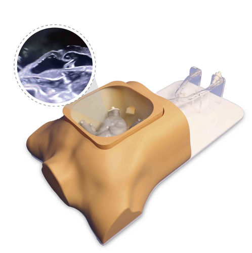 Herzgefäßmodell - Shanghai Preclinic Medtech - für minimalinvasive Chirurgie / für die Herzchirurgie / für Gefäßchirurgie