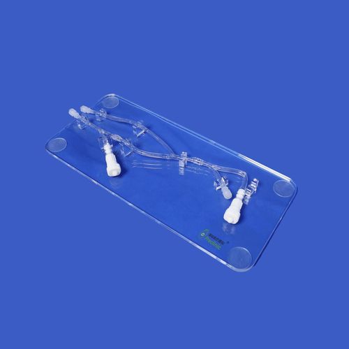 Blutgefäße-Gefäßmodell - PLWZXG001 - Shanghai Preclinic Medtech - Vena cephalica / Brachialarterie / obere Extremitäten